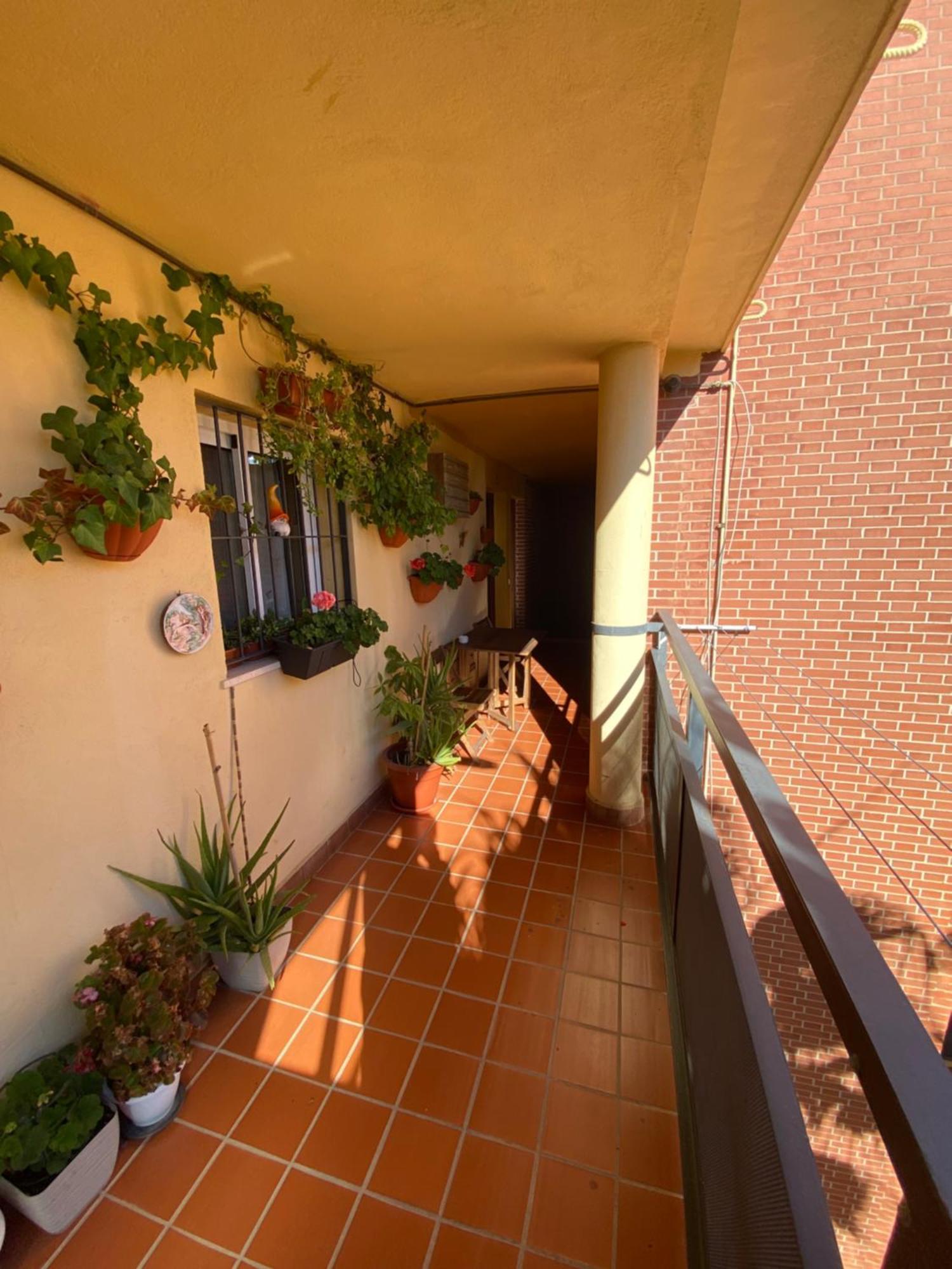 Appartamento Apartamento Arroyo De La Miel Costa Del Sol Benalmádena Esterno foto
